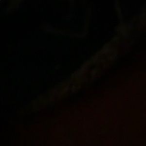 Meet your Posher, Angelina